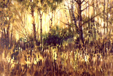 Watercolor